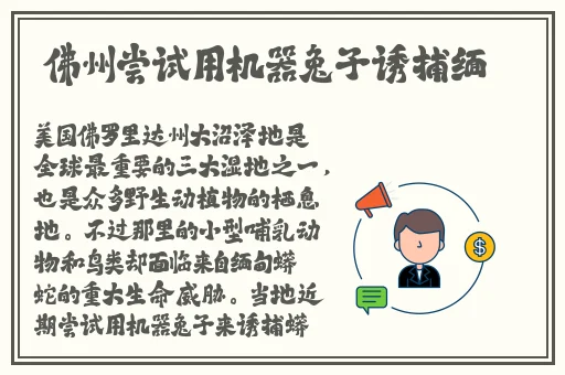 旗袍全开襟做运动打扑克